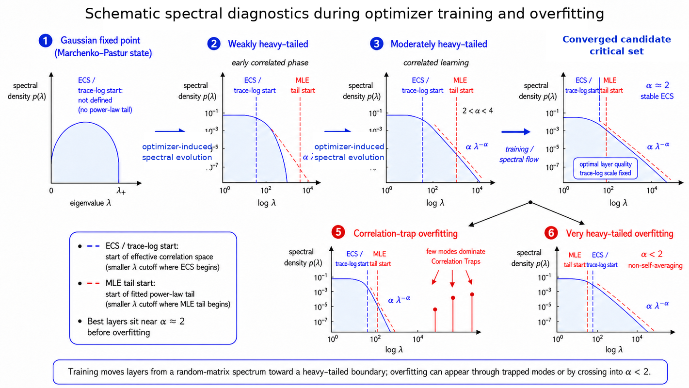 Schematic spectral diagnostics during optimizer training and overfitting